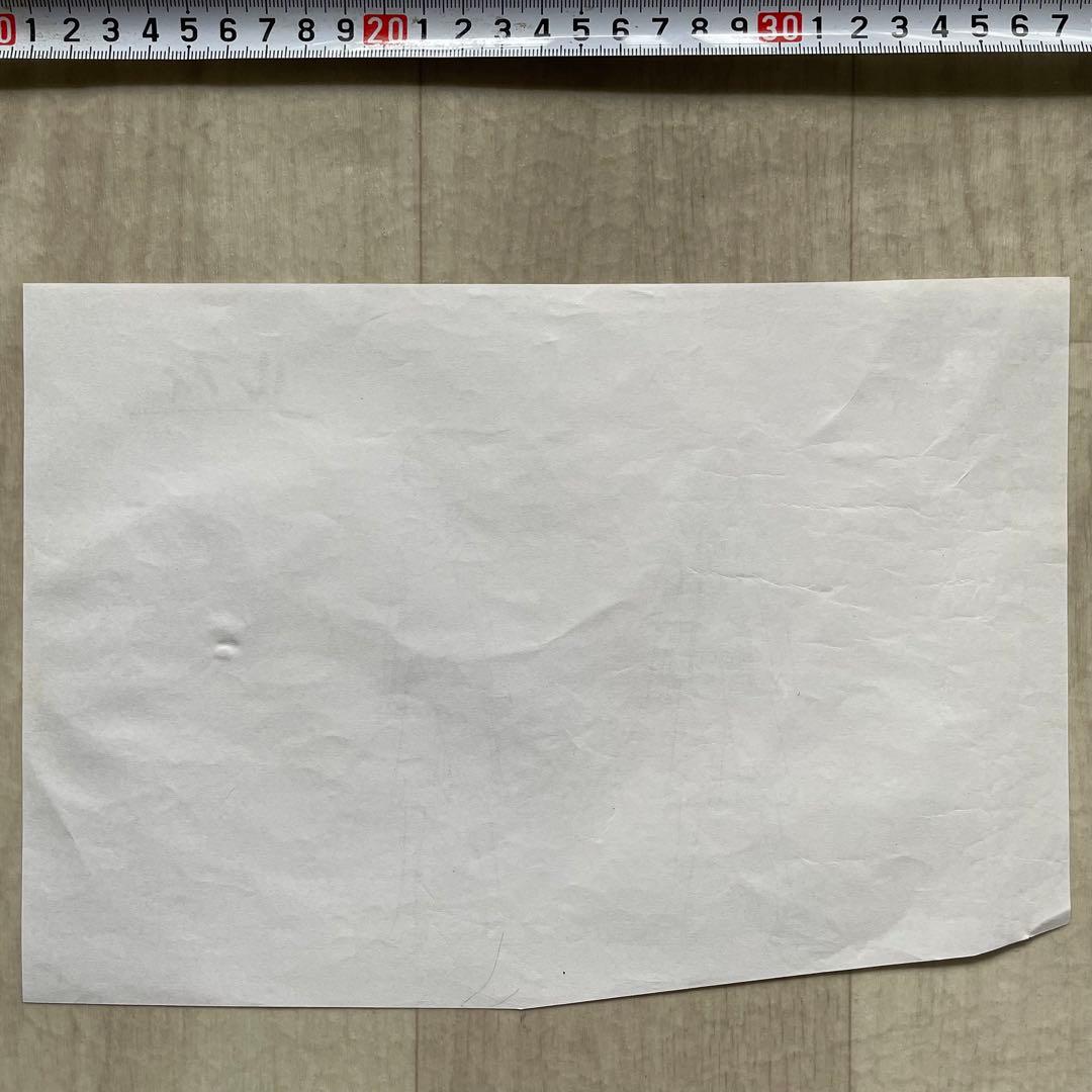 決定稿 1枚 設定資料 モンキー・D・ルフィ Monkey D. Luffy