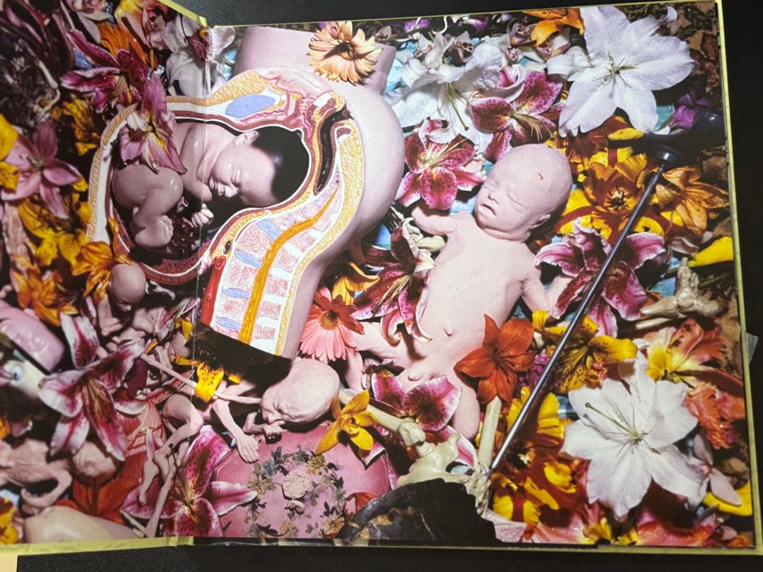 名盤NIRVANA IN UTERO 20周年記念3CD+1DVD国内盤