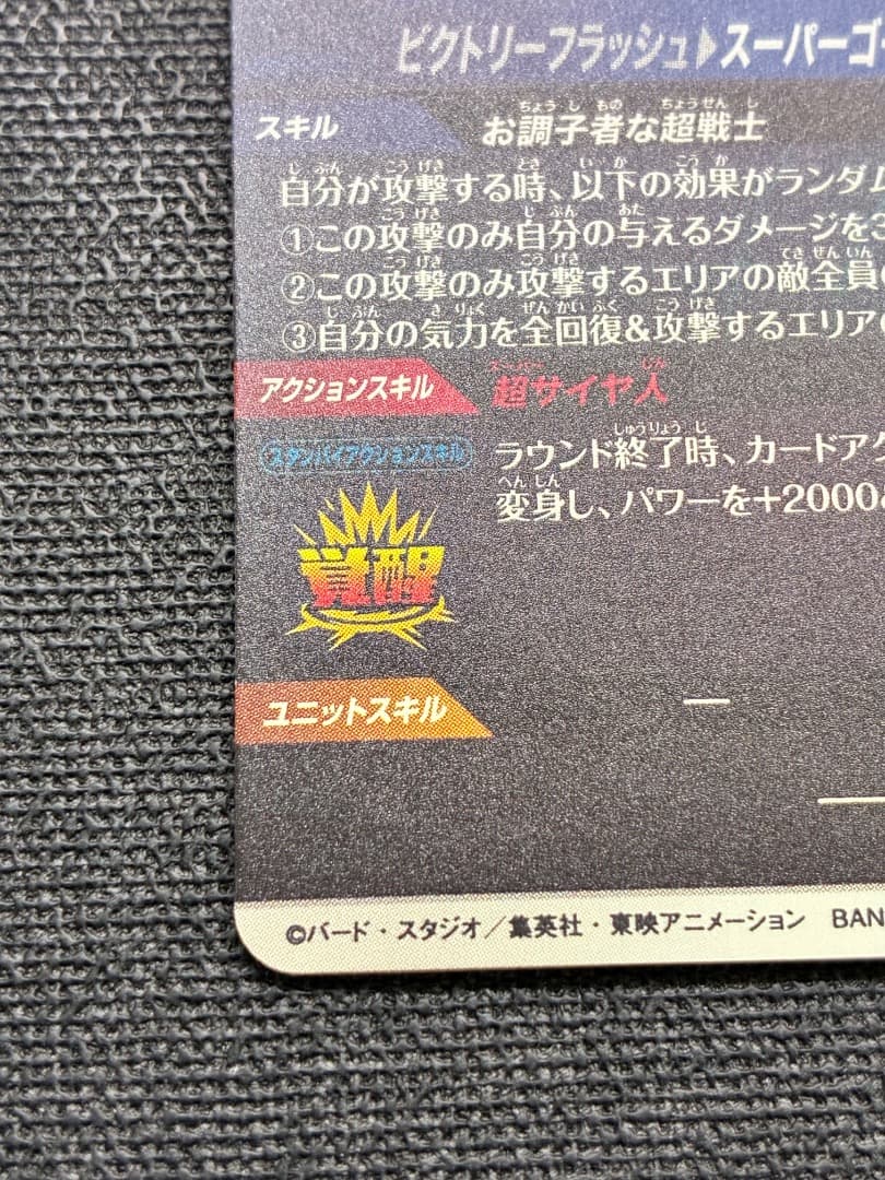 ゴリラの子孫出品