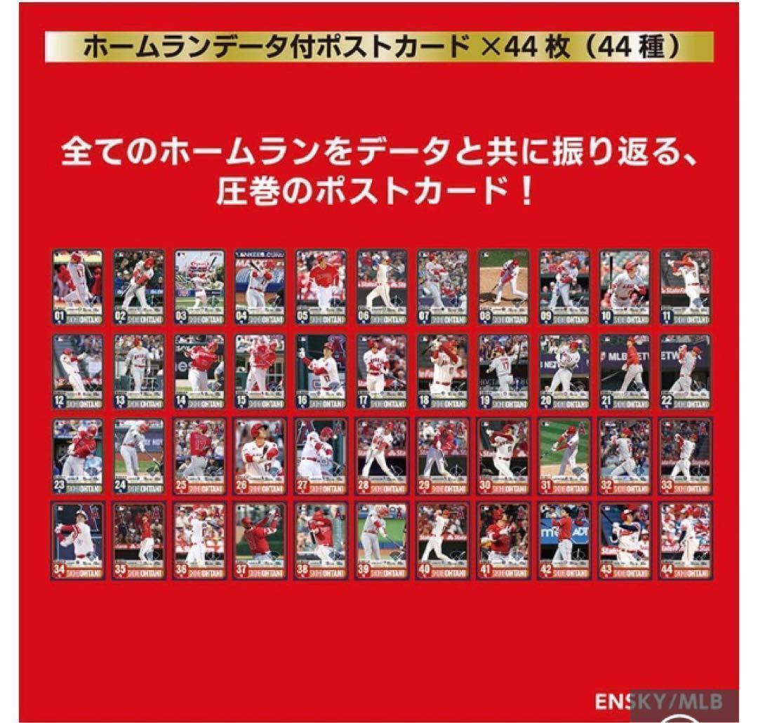 大谷翔平 ホームラン王 獲得記念