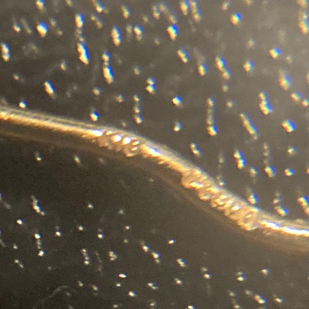 K18 pt 18金＋プラチナフープピアス　片耳