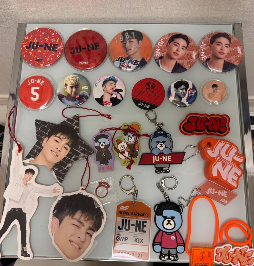 iKON まとめ売り　ジュネ　ペン卒