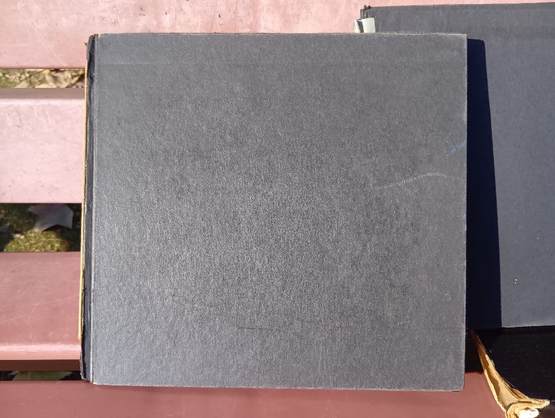 刺青 森田一朗 Irezumi Japanese Tattooing 入墨