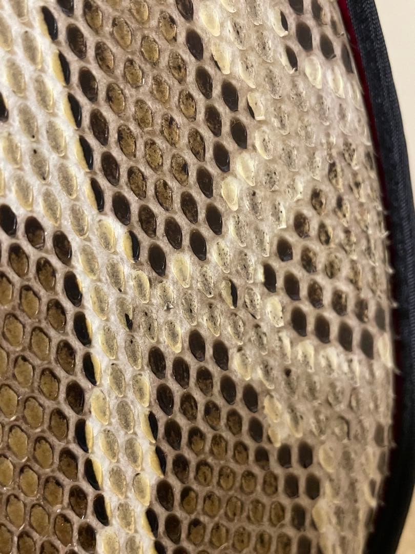 【みっこ】三味線本体 蛇皮 網目模様 セミハードケース、スタンド、付属品