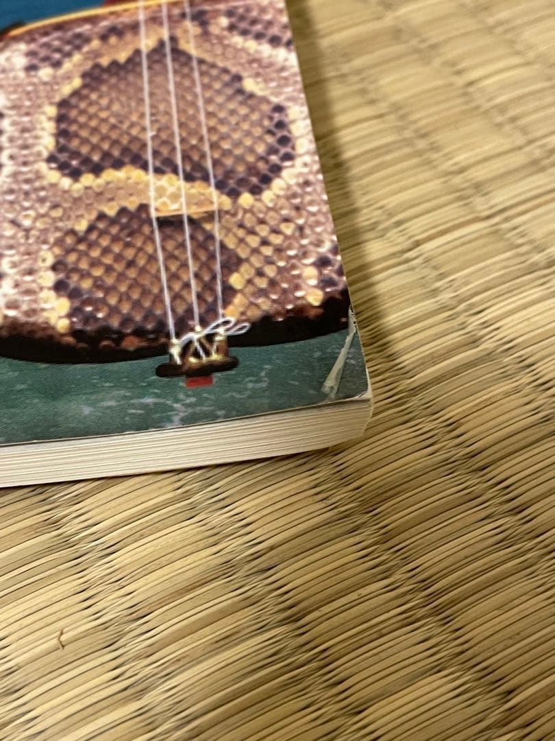 【みっこ】三味線本体 蛇皮 網目模様 セミハードケース、スタンド、付属品