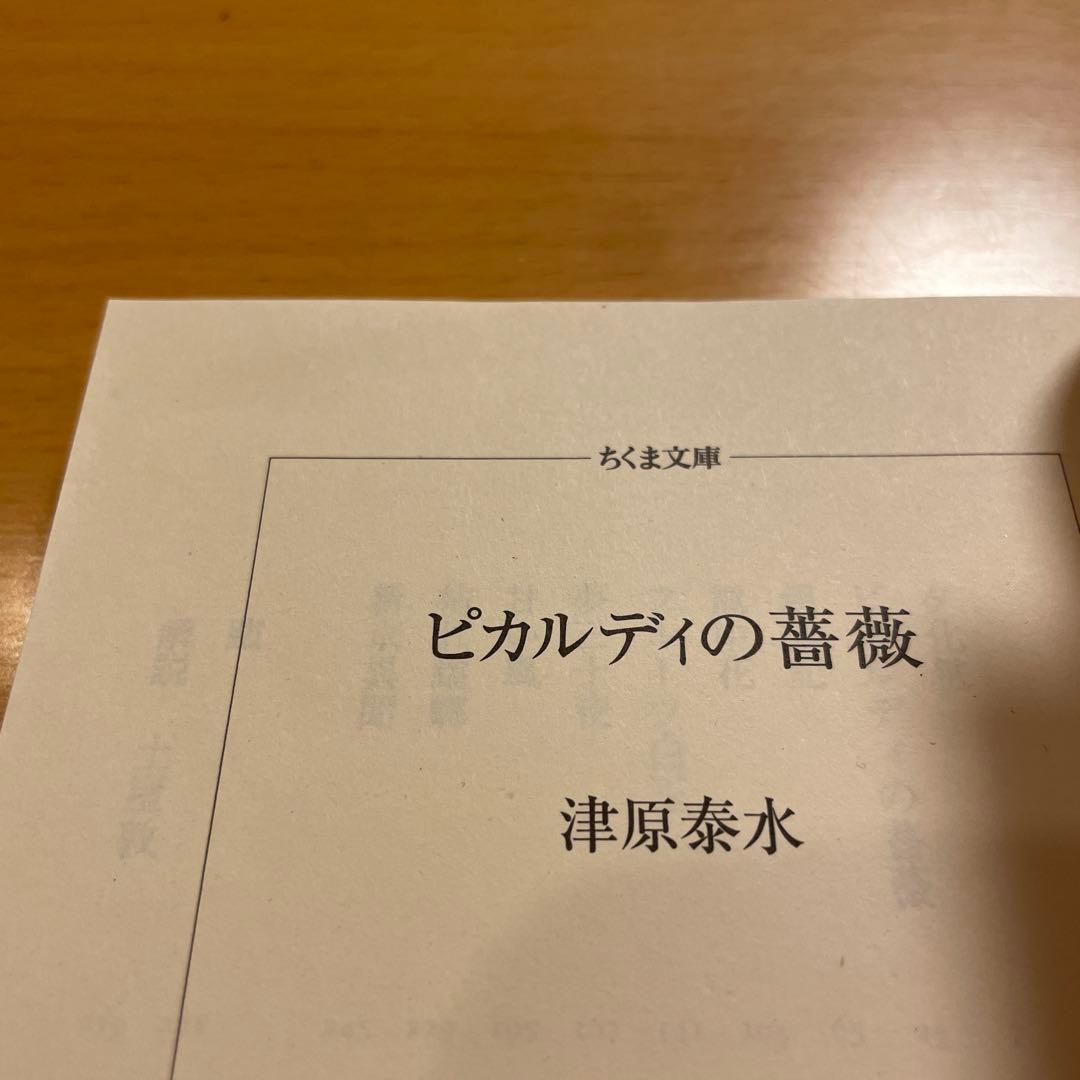 【絶版セット】 蘆屋家の崩壊 ピカルディの薔薇 猫ノ眼時計 津原泰水 ちくま文庫