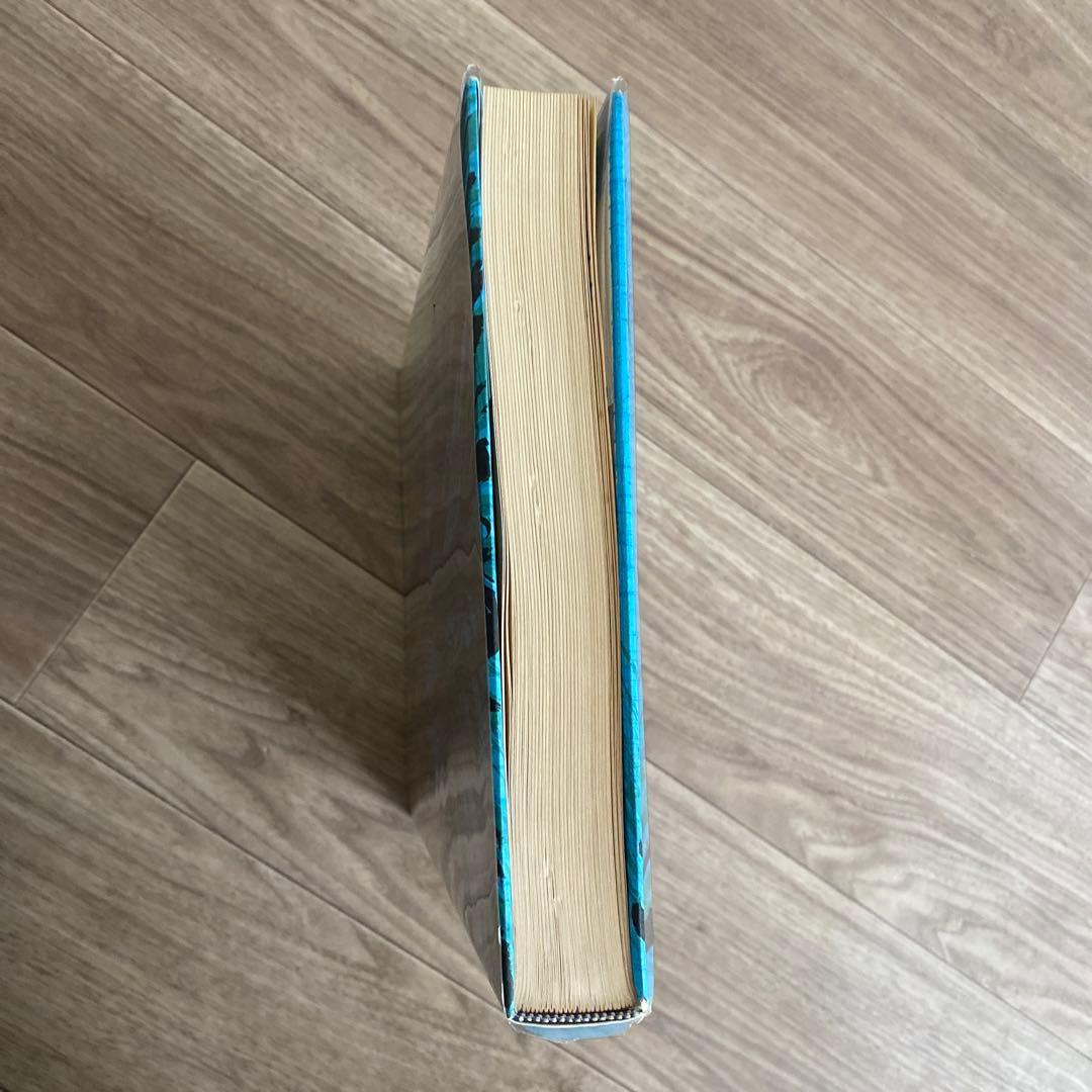 ベルナール・ビュッフェ　リトグラフ集