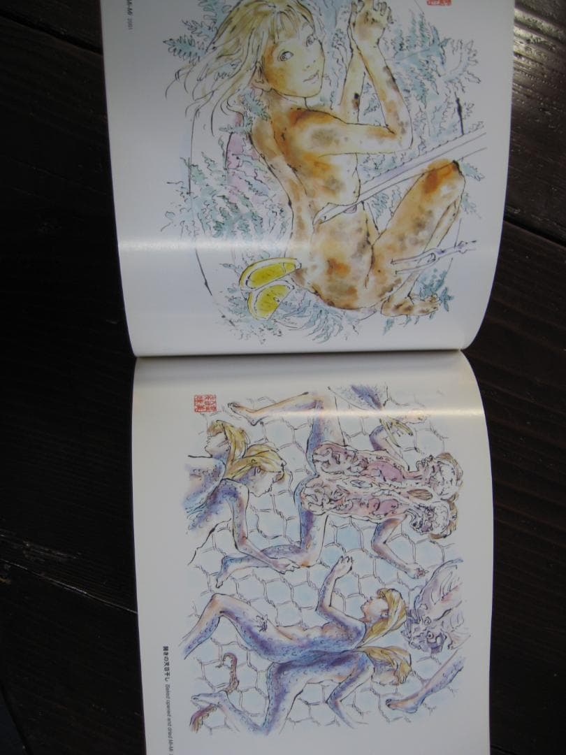 会田誠 第二作品集 　　 三十路