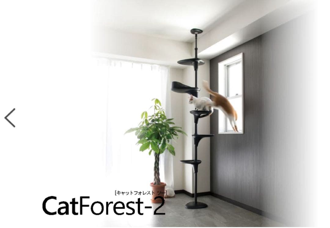OPPO CatForest-2 キャットフォレスト2 ホワイト