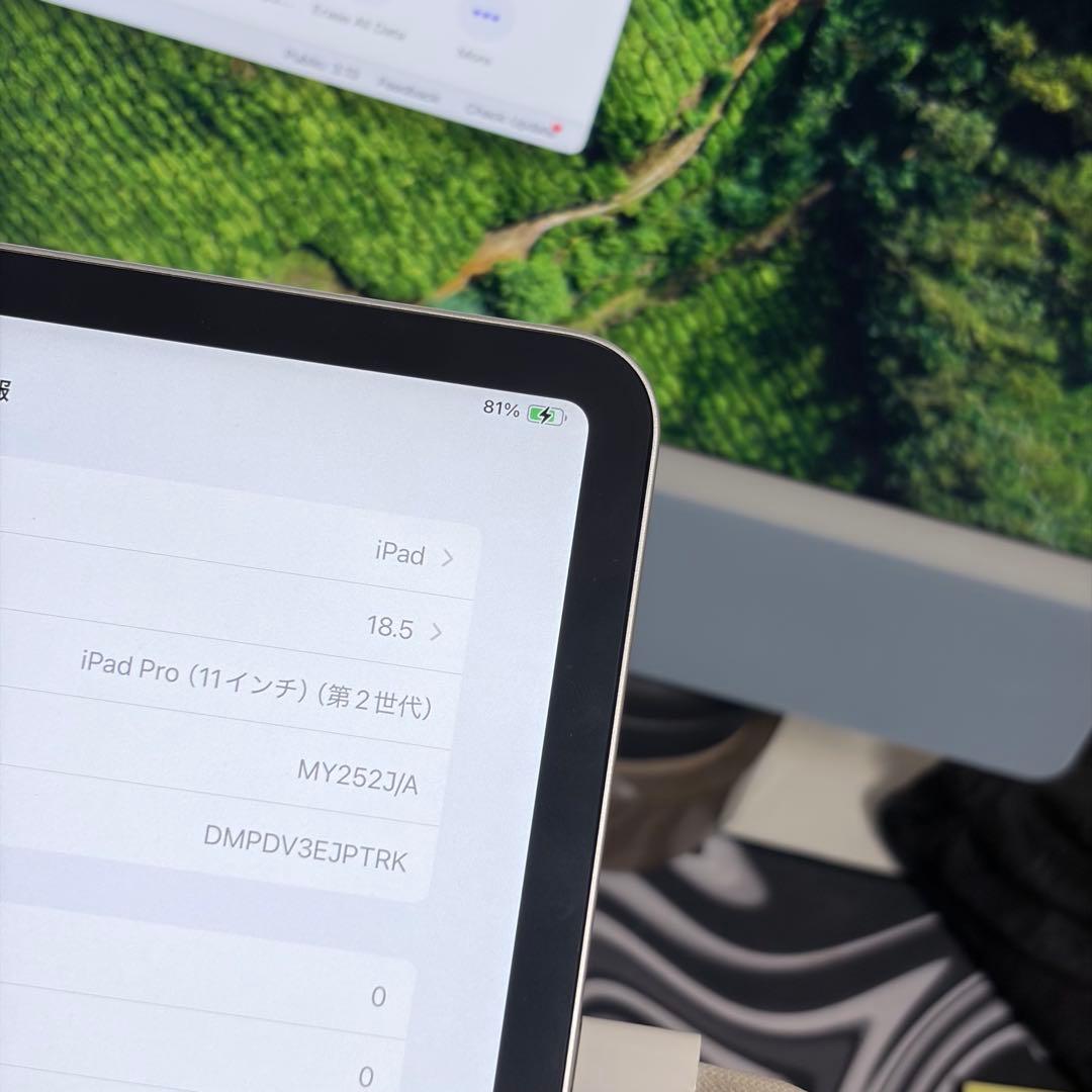 iPad Pro 11インチ 第2世代 Wifiモデル 128GB シルバー