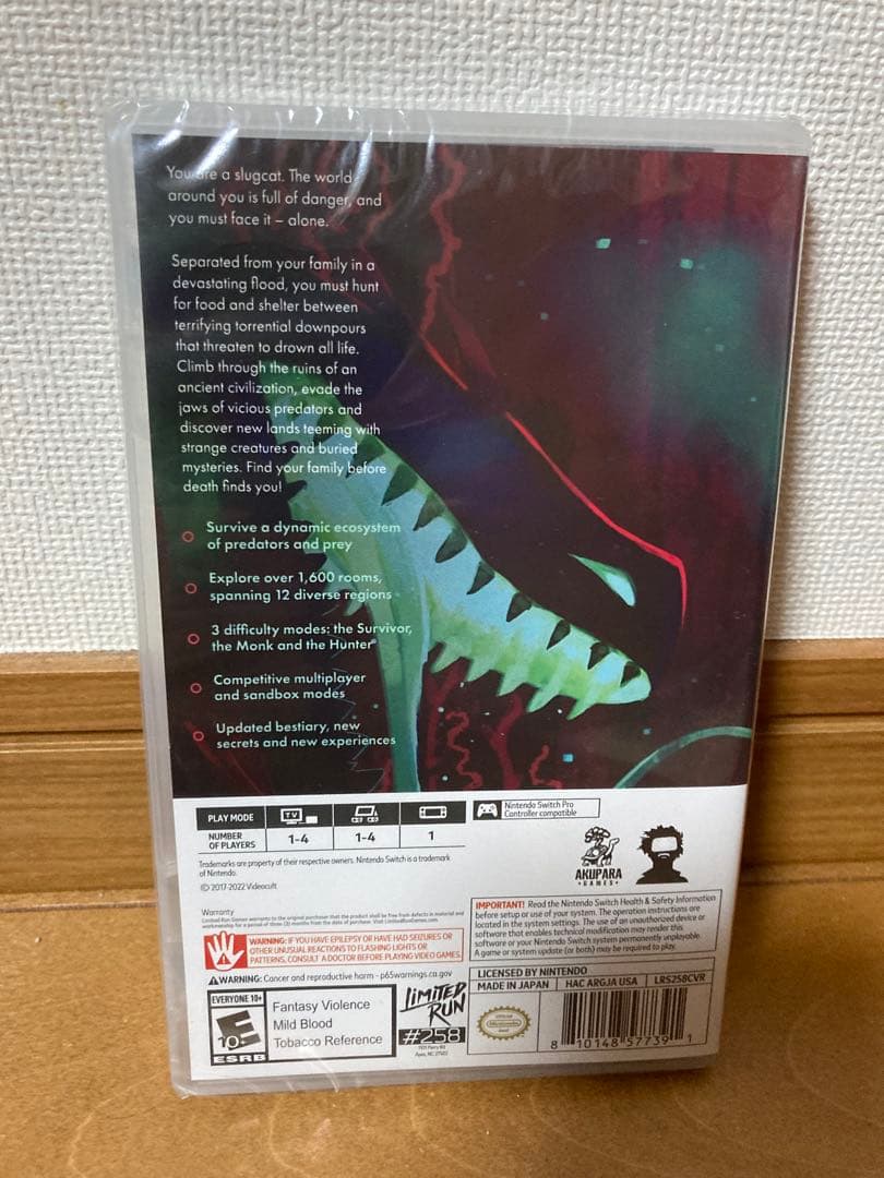 Nintendo Switch Rain World Switch