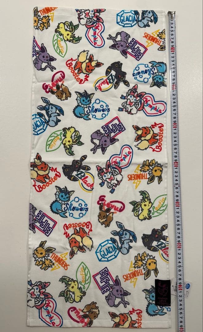 イッツデモ　ポケモン　ブイズ　フェスタオル　ハンドタオル　2点セット