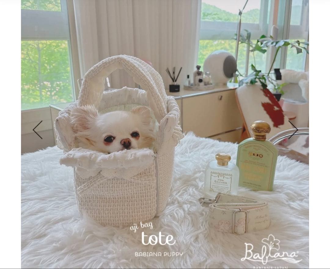 コ*ロ様 BABIANAキャリーバッグ　韓国　犬
