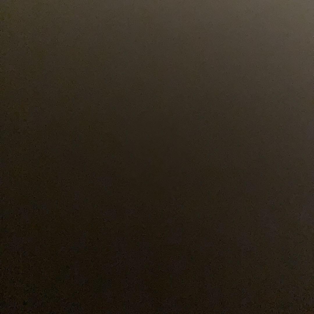 にしかわ　SEAGULLIV