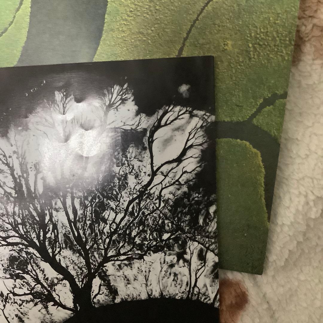 Dead Can Dance The Serpent's Egg 紙ジャケ CD