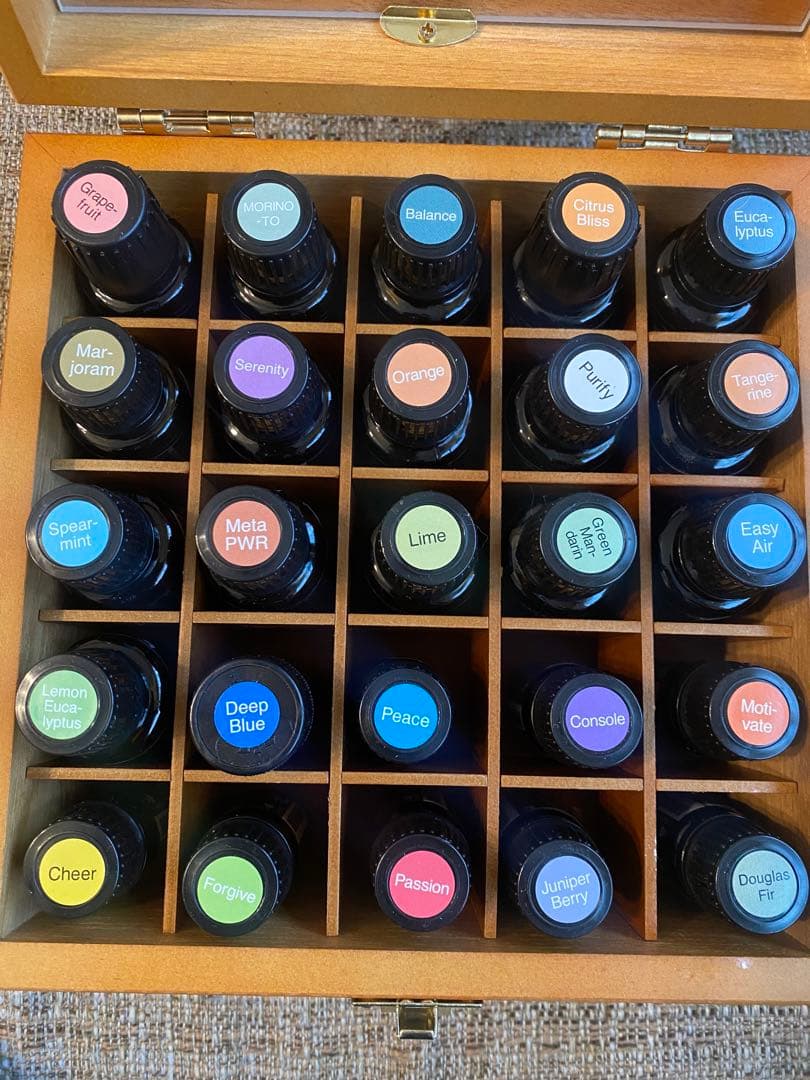 本日限定‼︎ドテラ　アロマオイル　セット