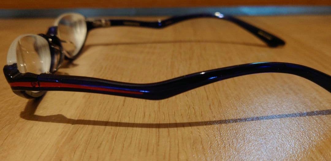 モンスターハンター10周年xALOOKコラボメガネ ナルガクルガモデル