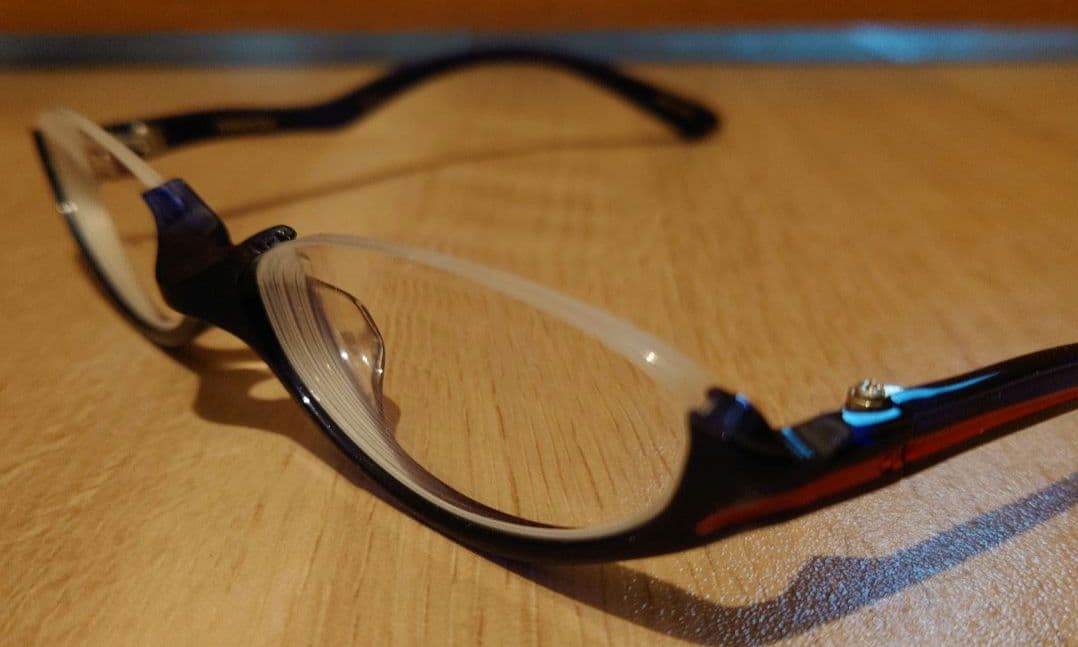 モンスターハンター10周年xALOOKコラボメガネ ナルガクルガモデル