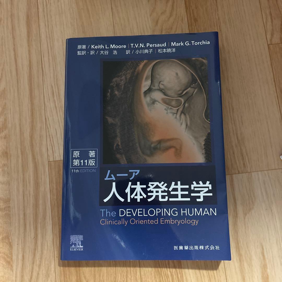 ムーア 人体発生学 第11版