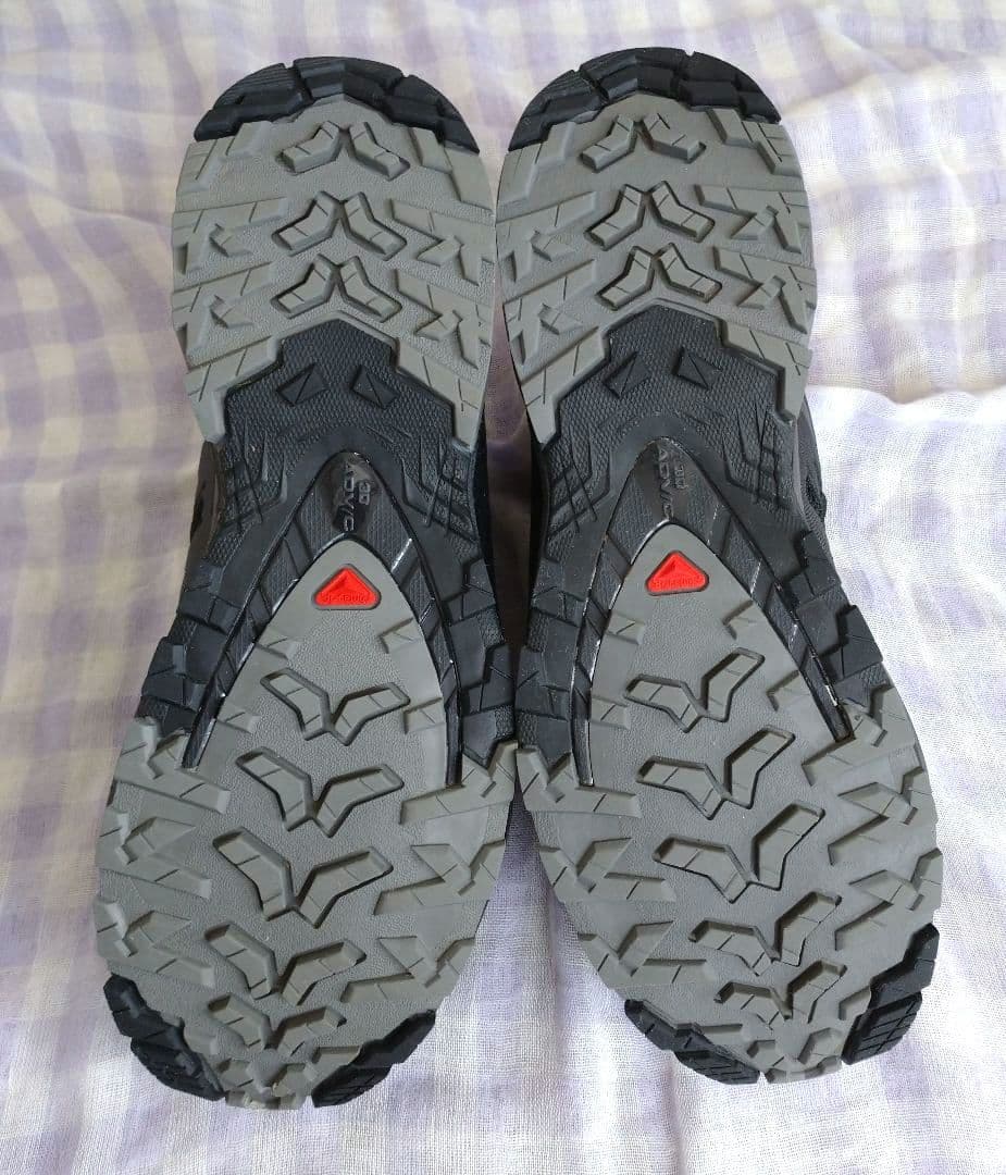 SALOMON　XA PRO 3D V9 GTX　24.5㎝