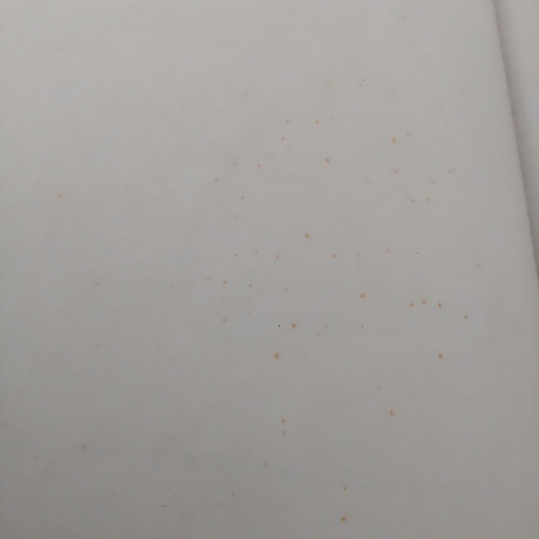 【中古】ディズニーDisney　英語システム　9種類+おまけ