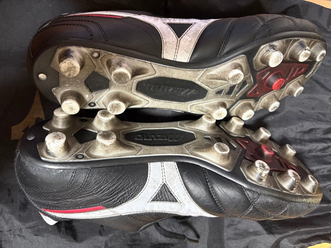 モレリア ブラック