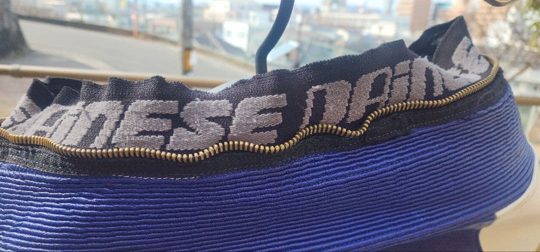 ダイネーゼレーシングレザーパンツ。サイズ52ファスナー付き。 きずほとんど無し