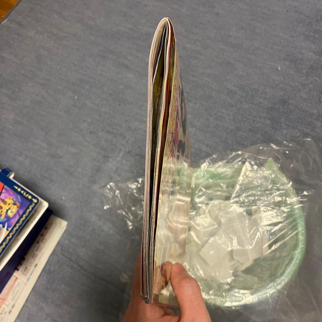 【未使用のプレミア価格】ENTAME 2011年６月号＊10年以上前の掘り出し物