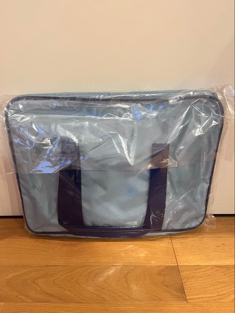 旧ワッぺ ワールドペガサス スクバ 水色 新品未使用 旧型