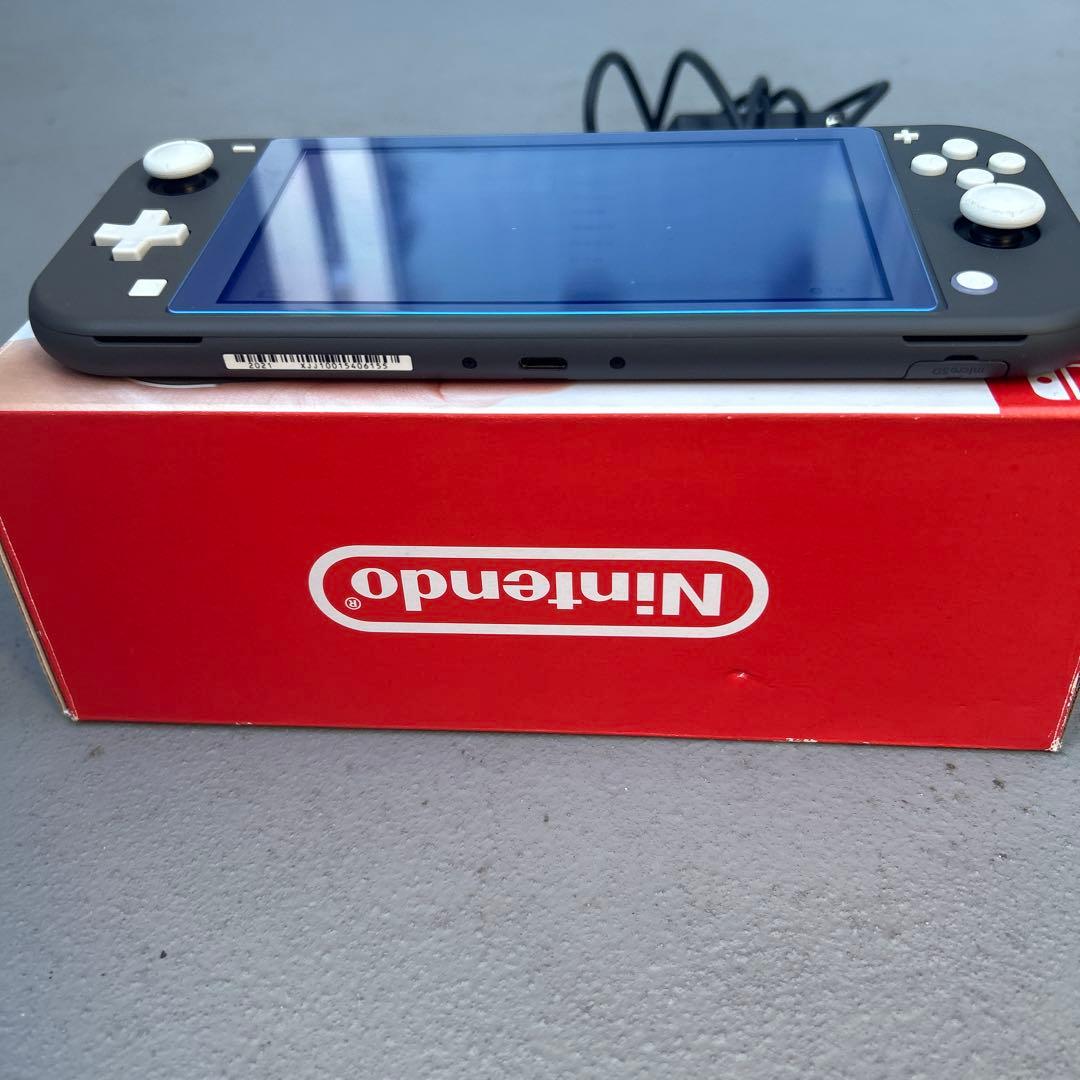 Nintendo Switch Lite グレー 充電器・ゲームカード付き