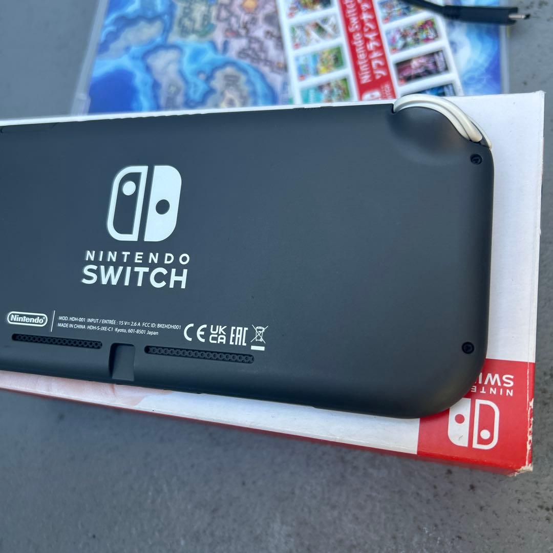 Nintendo Switch Lite グレー 充電器・ゲームカード付き