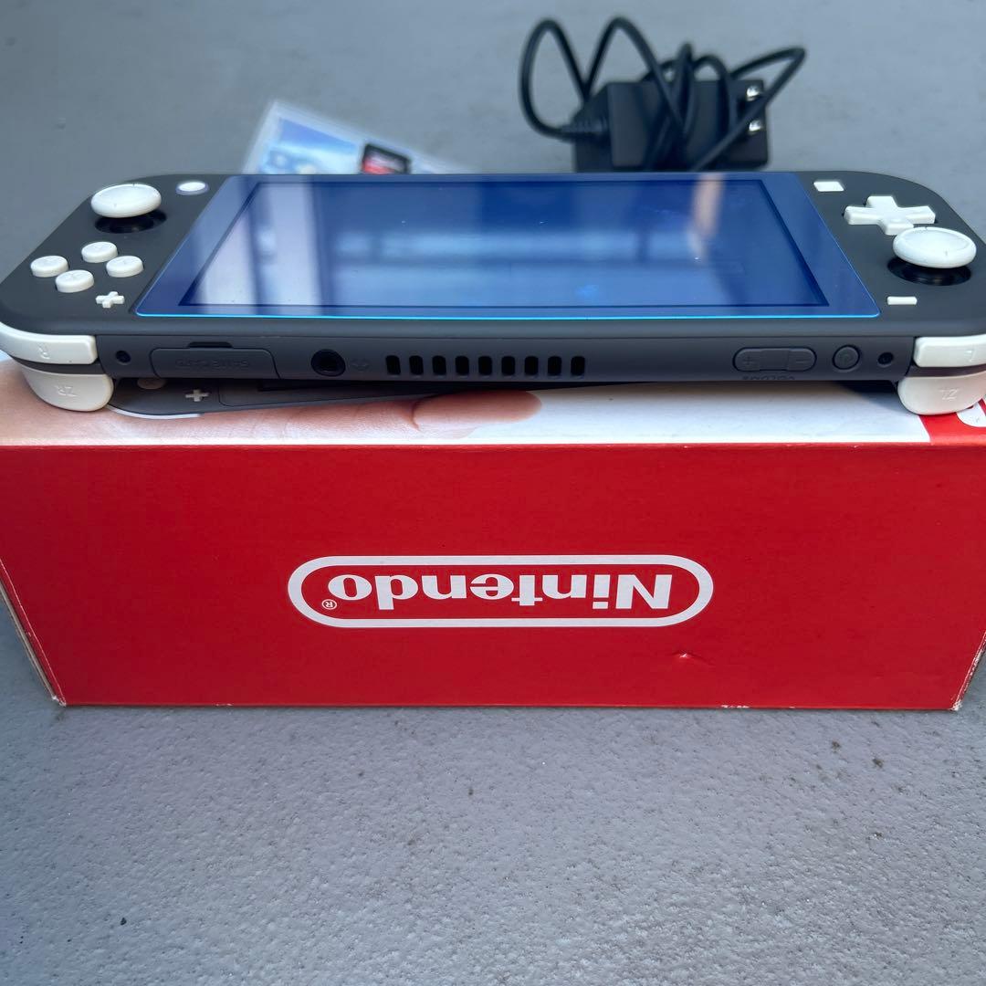 Nintendo Switch Lite グレー 充電器・ゲームカード付き