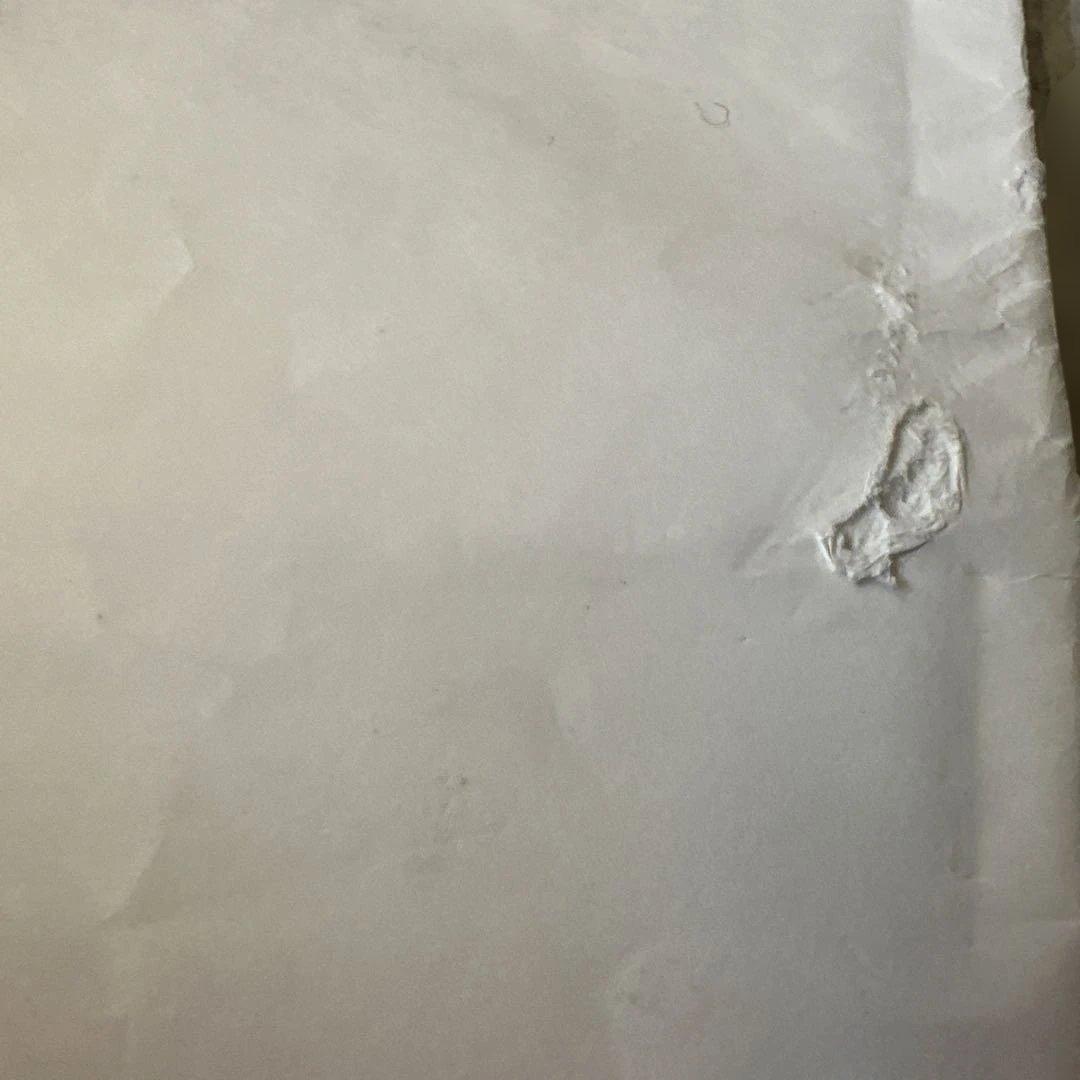 ５年　日能研　育成テスト　後期全９回分