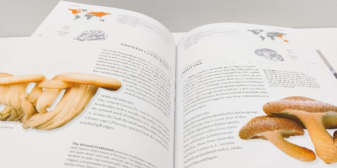 『 THE BOOK OF FUNGI 』世界きのこ大図鑑 オリジナル英語版