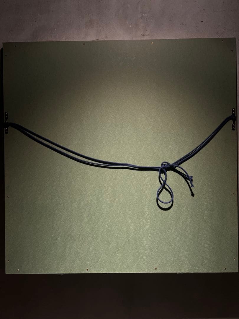 美品　高橋潮　【映】　メゾチント