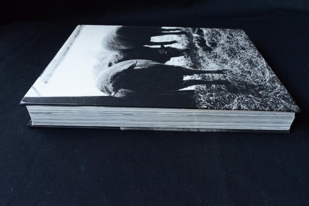 【BRUCE WEBER ：BRANDED YOUTH】★★大幅に値下げしました