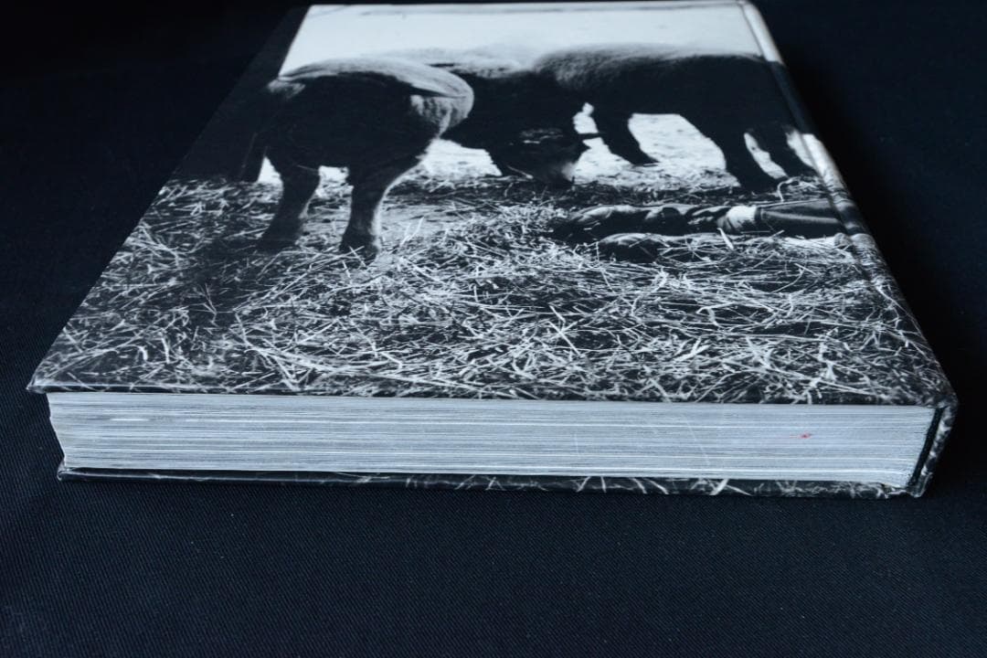 【BRUCE WEBER ：BRANDED YOUTH】★★大幅に値下げしました