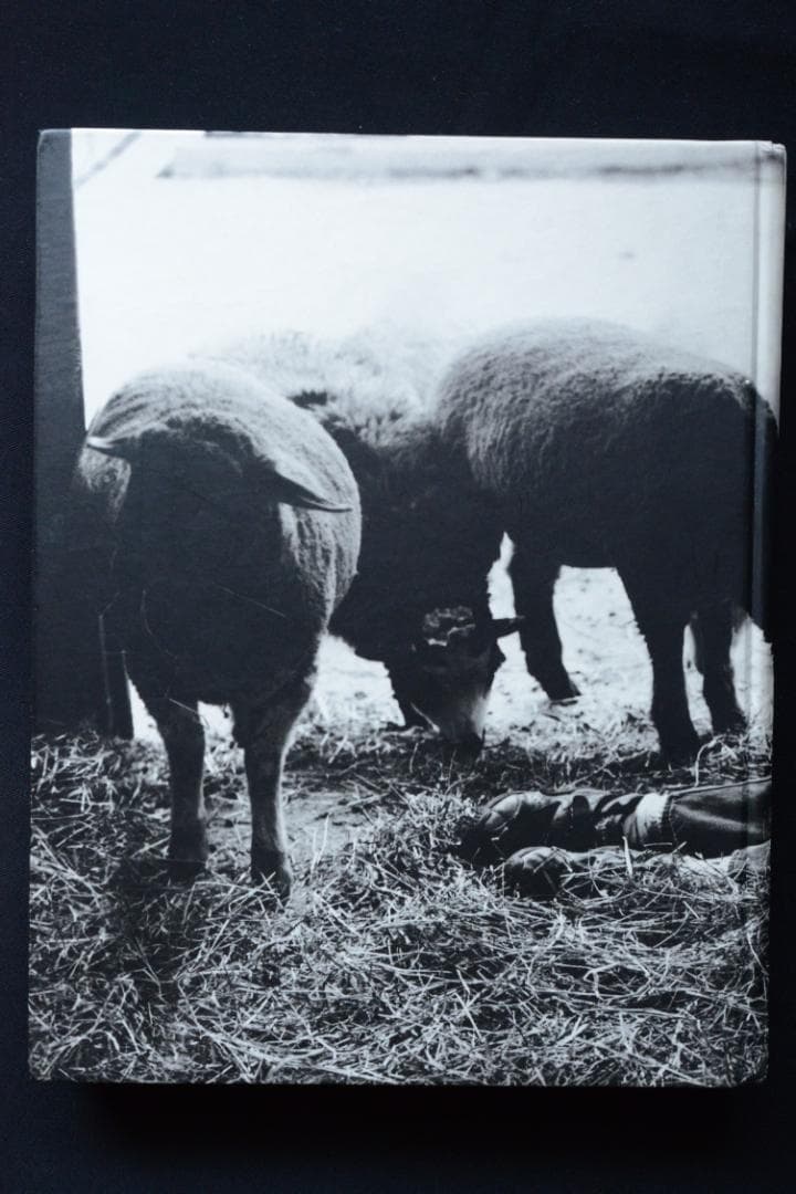 【BRUCE WEBER ：BRANDED YOUTH】★★大幅に値下げしました