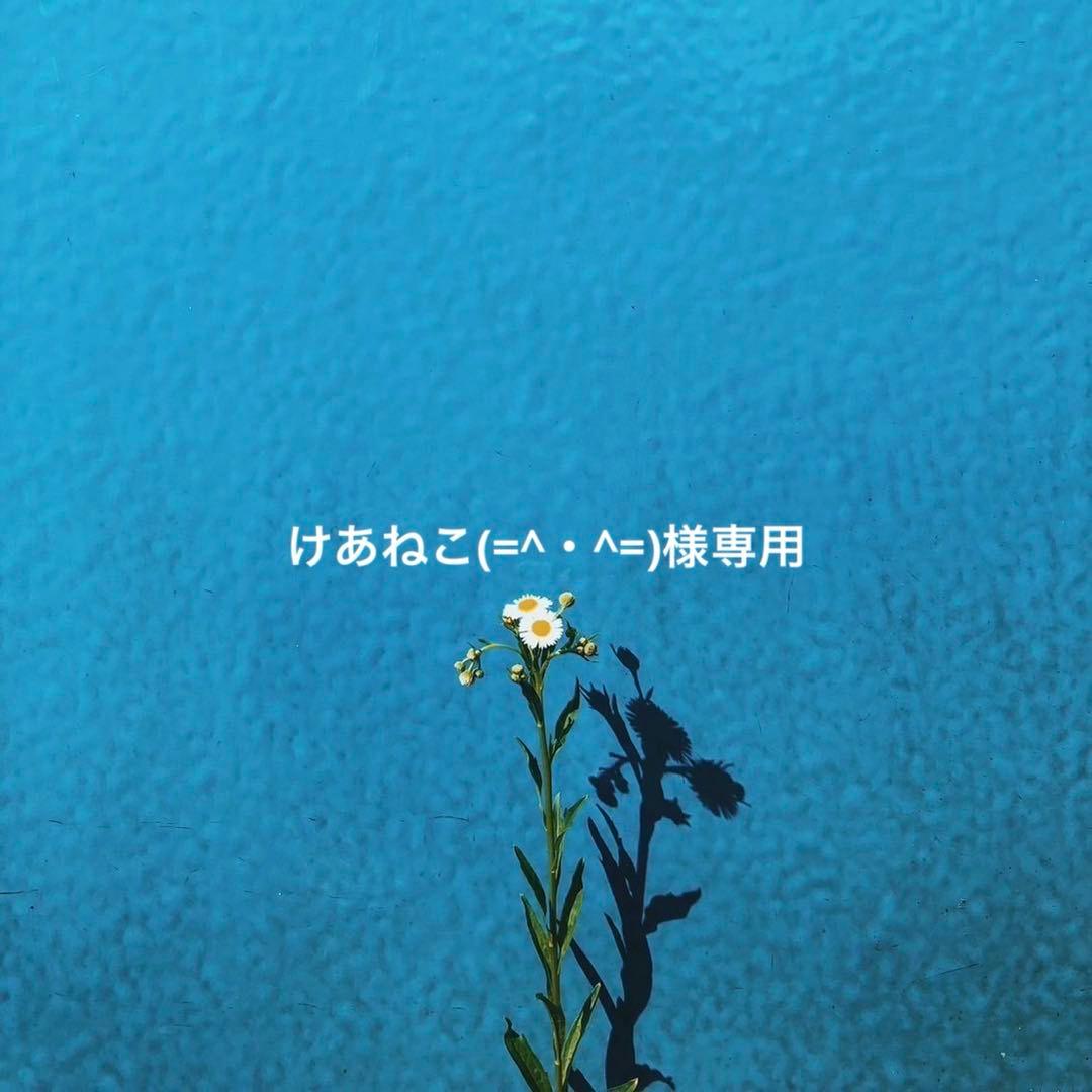 けあねこ(=^・^=)