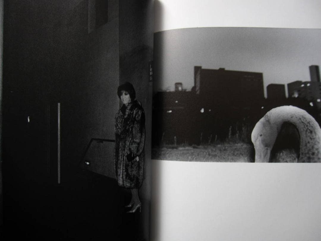 星玄人 街の火　Haruto Hoshi　直筆サイン入り