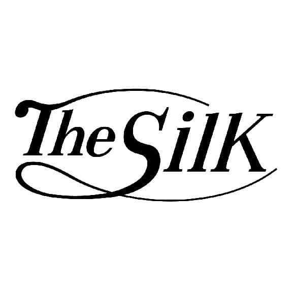 【本物シルク】ブレインスリープピロー スタンダード 用 シルク枕カバー 100％