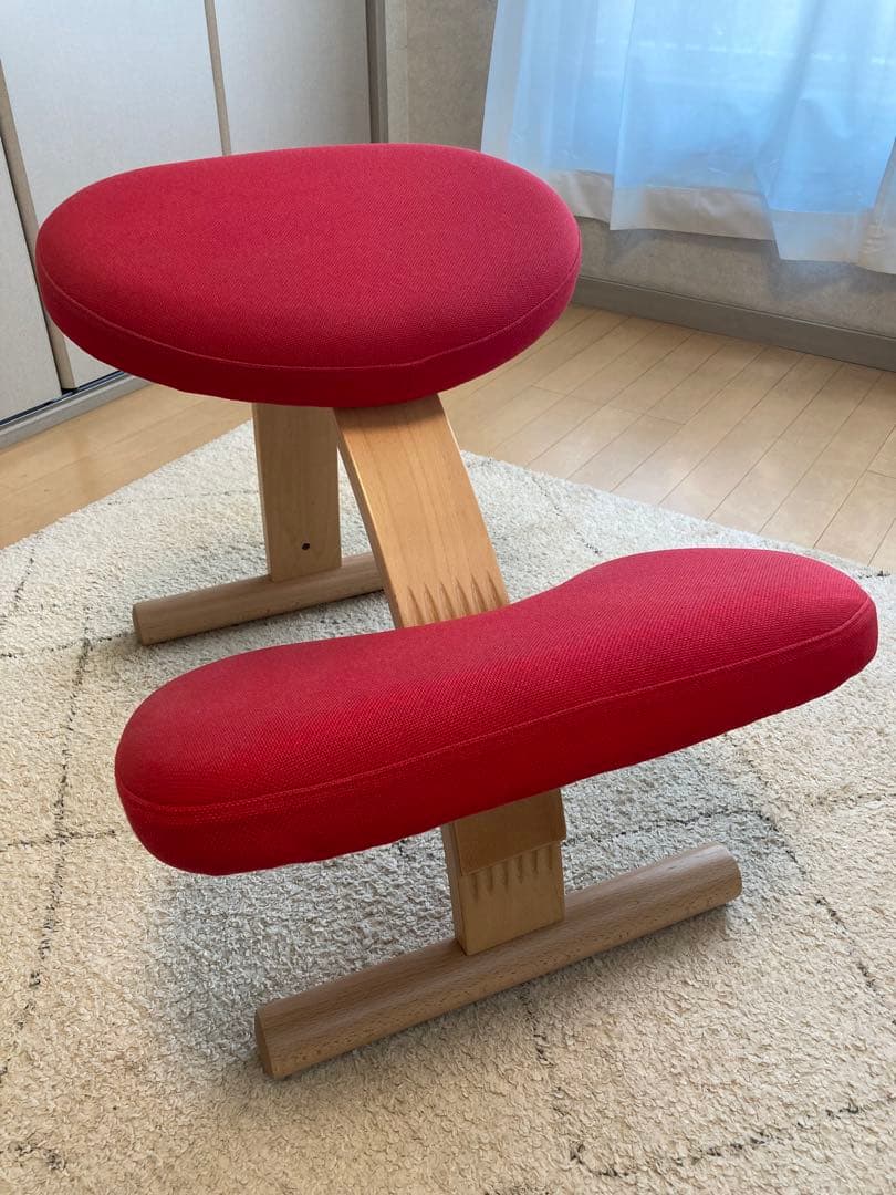 バランス イージー　【専用カバー付き】　バランスラボ　赤　サカモトハウス