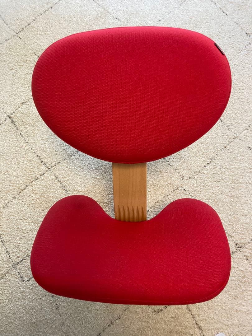 バランス イージー　【専用カバー付き】　バランスラボ　赤　サカモトハウス