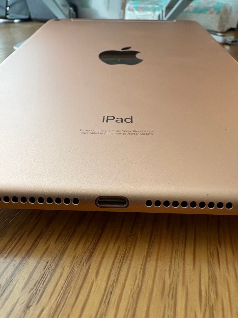 ゴールド iPad本体