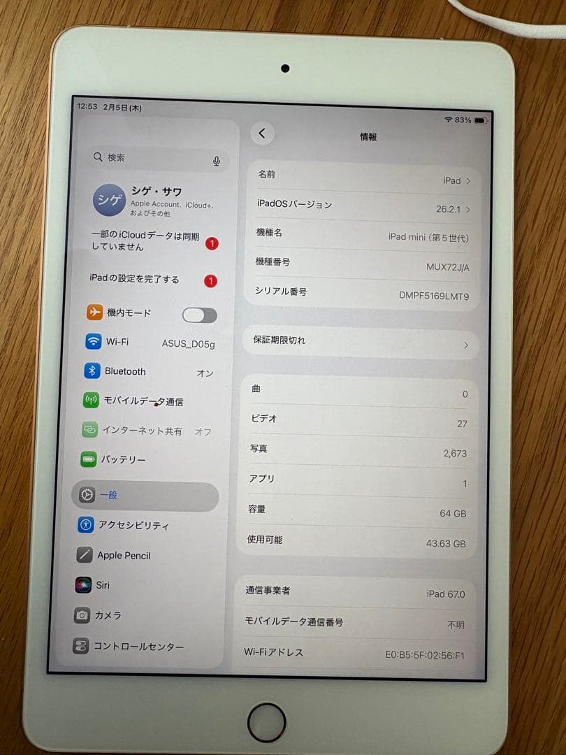 ゴールド iPad本体