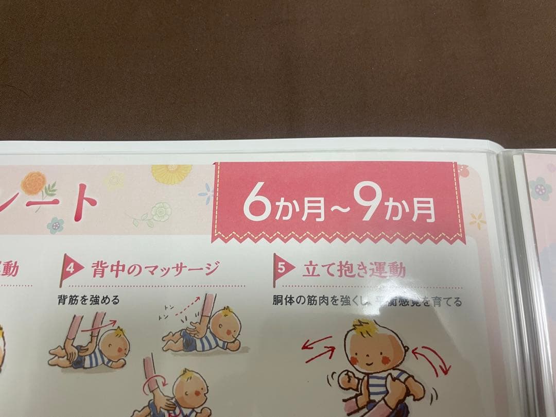 【おまとめ】七田式8ヶ月〜1歳7ヶ月/1歳9ヶ月〜2歳8ヶ月・育脳BOOK全月齢