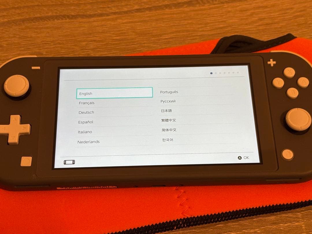 Nintendo Switch Lite グレー ポーチ付き