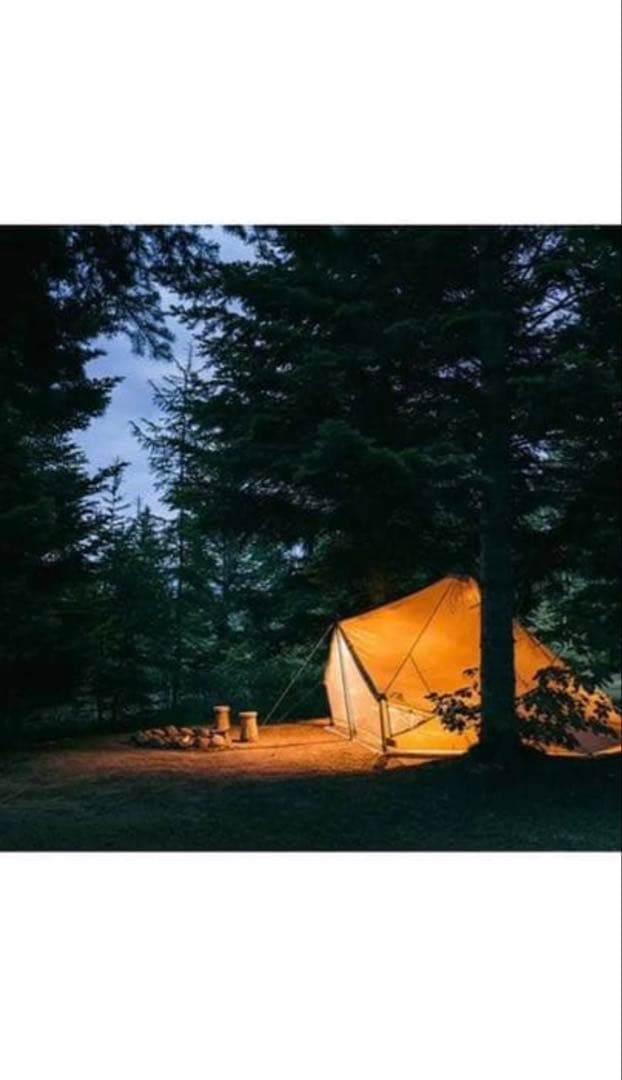 サバティカル　モーニンググローリーTCライトベージュ　新品・未使用