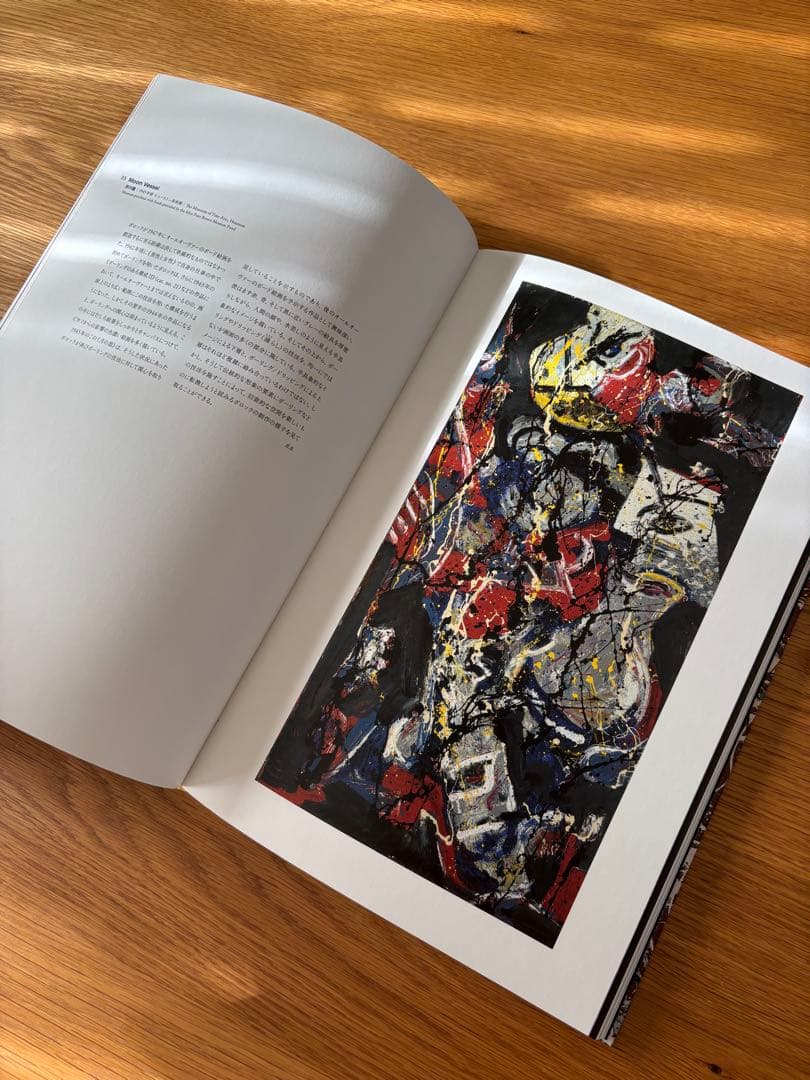 【希少】生誕100年　ジャクソンポロック jackson pollock画集