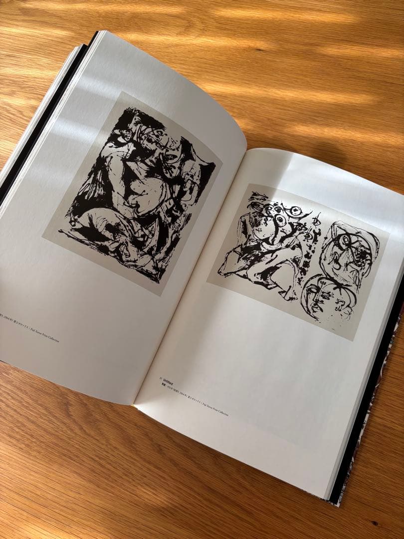 【希少】生誕100年　ジャクソンポロック jackson pollock画集